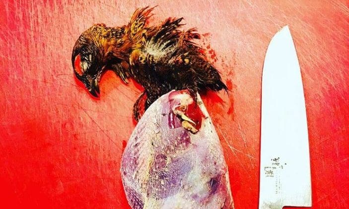 Padella faces vegan and vegetarian ‘backlash’ over Instagram post