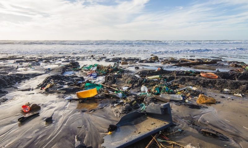 Plastic packaging in the environment