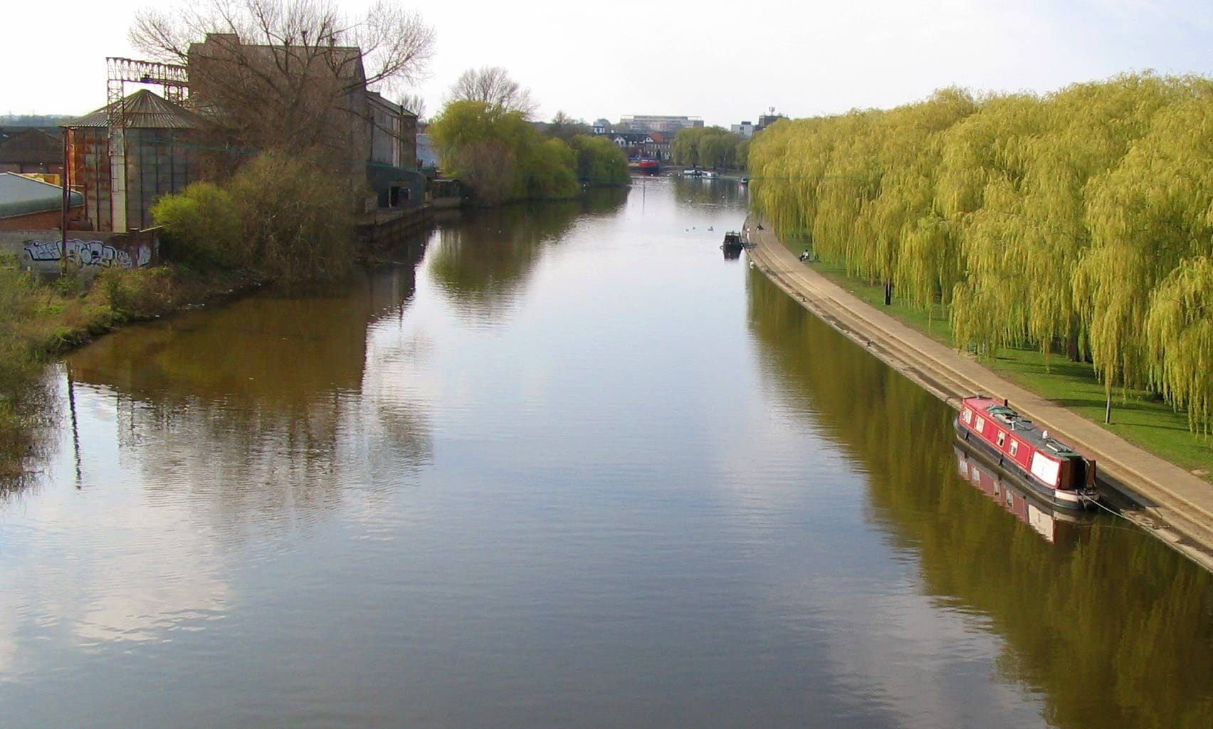 Carlsberg pollution leads to restorative charity donations