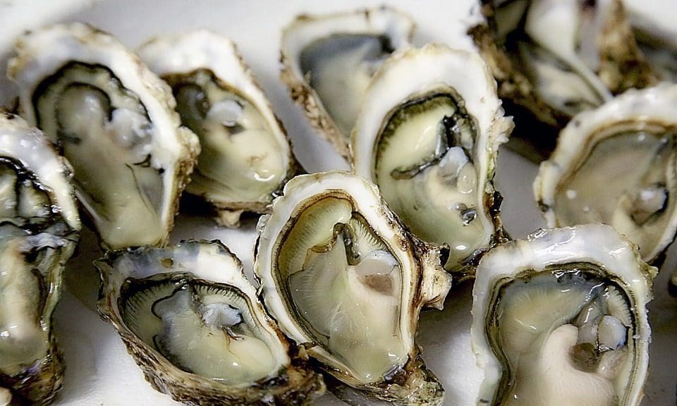 Michelin-starred Adam Stokes to open new Birmingham restaurant