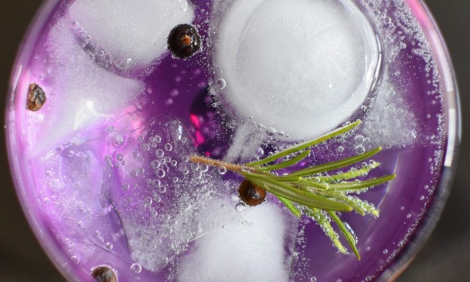 Franklin & Sons sees gin sales double due to ‘demand’ for natural ingredients