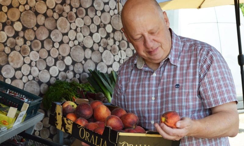 2019’s essential ingredients