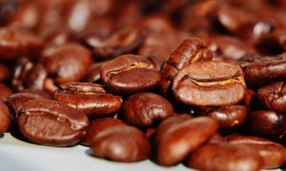 Kyoto’s % Arabica to open first UK site in London