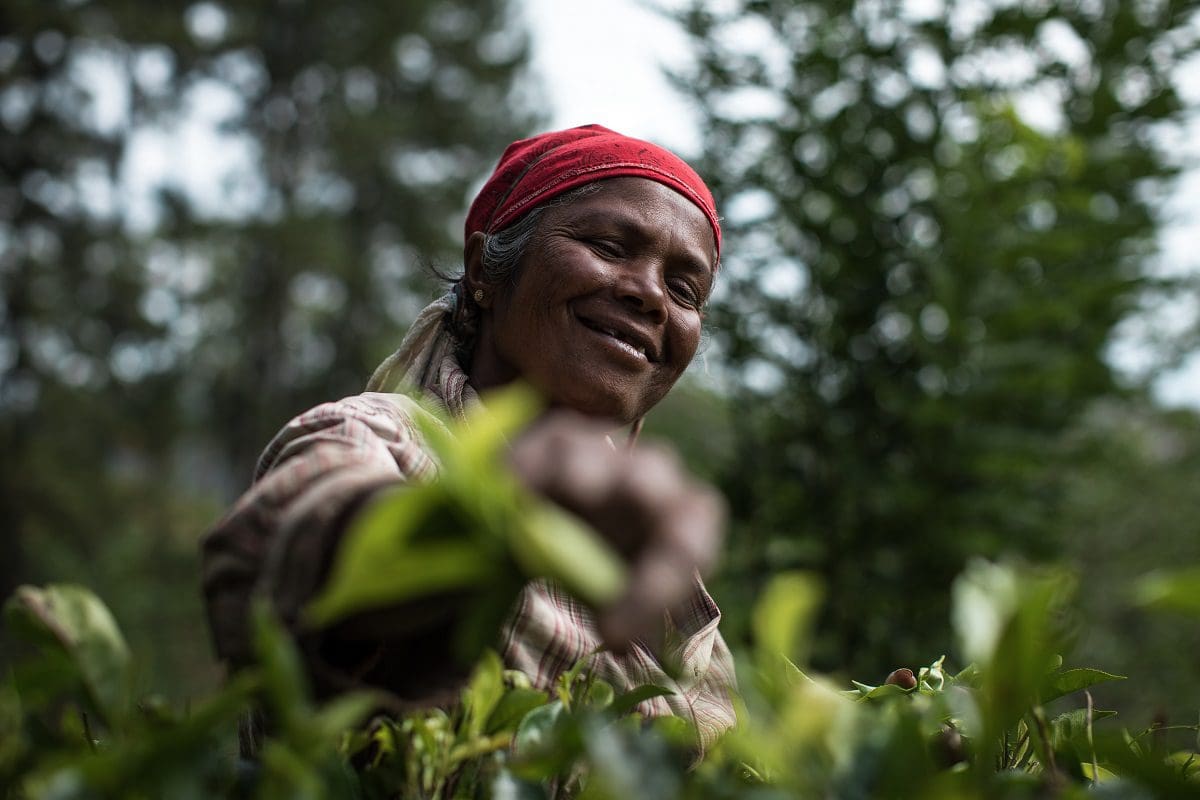 People Powered: six things I learnt from a sustainable sourcing model