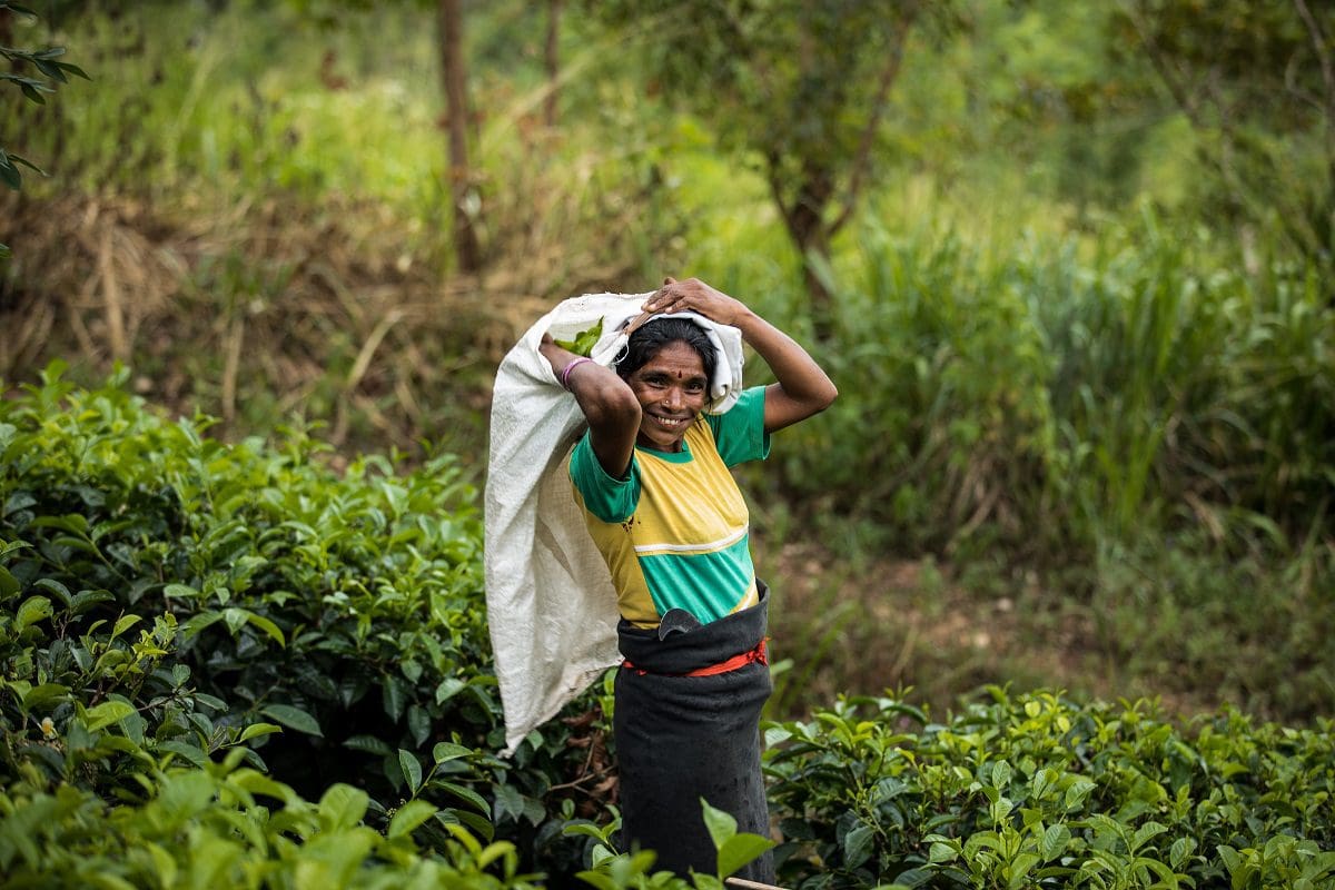 People Powered: six things I learnt from a sustainable sourcing model