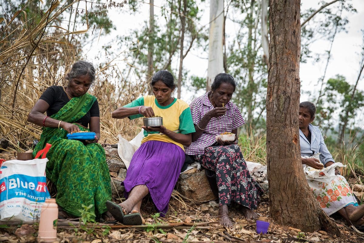 People Powered: six things I learnt from a sustainable sourcing model