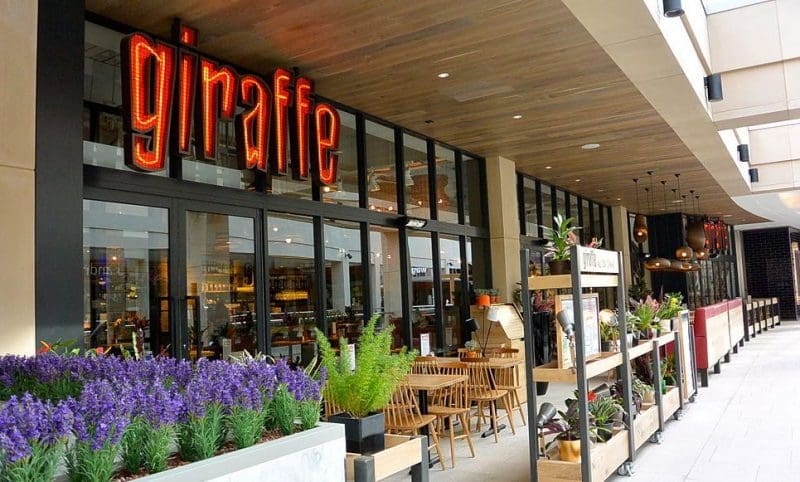 Giraffe and Ed’s Easy Diner CVA closures approved