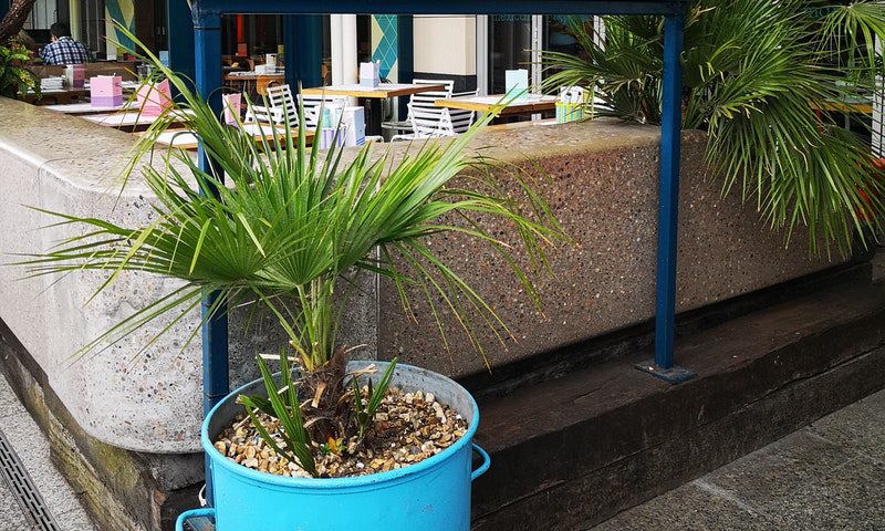 Wahaca updates policy after waiter is charged for dine and dash