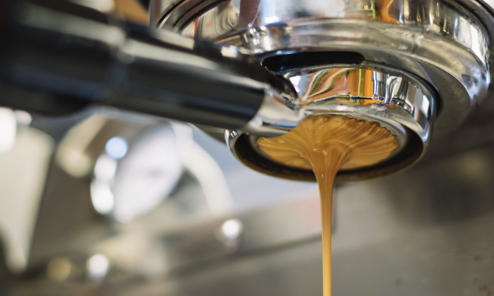 Society Café opens fifth site in Bristol