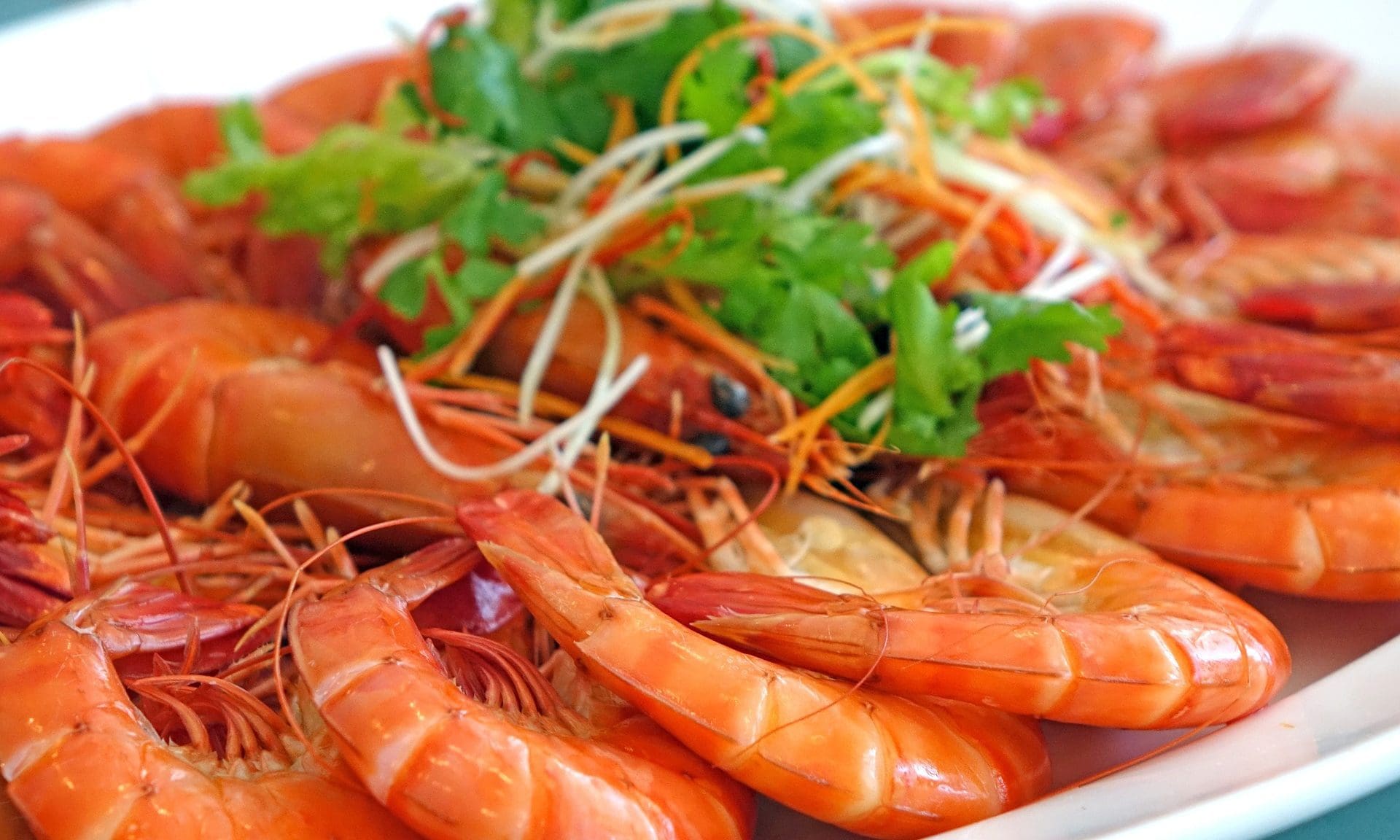 The Seafood Pub Company collapses into administration