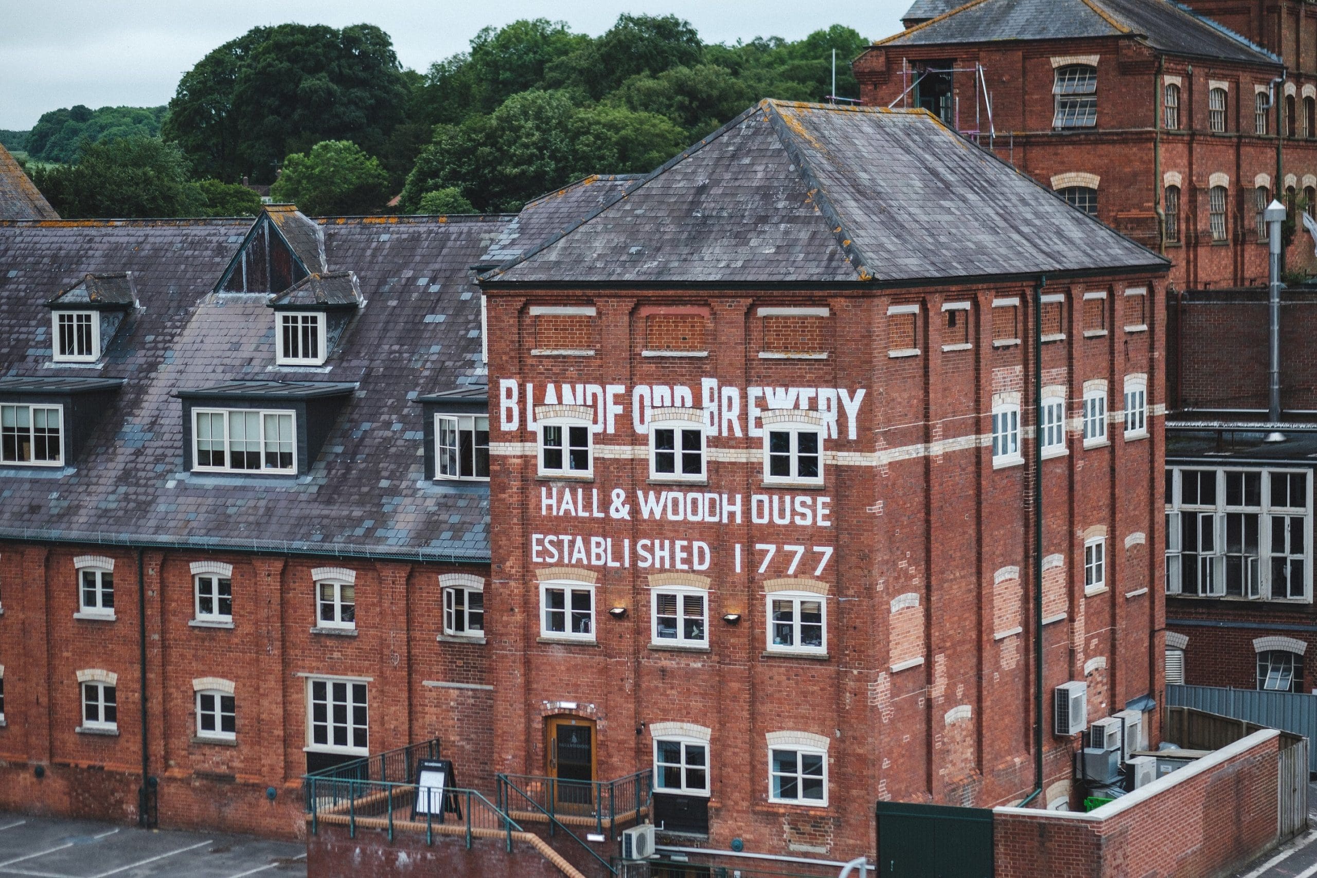 Hall & Woodhouse returns to profit in FY22