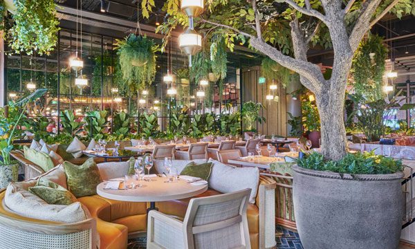 D&D London names Baton Berisha as new MD