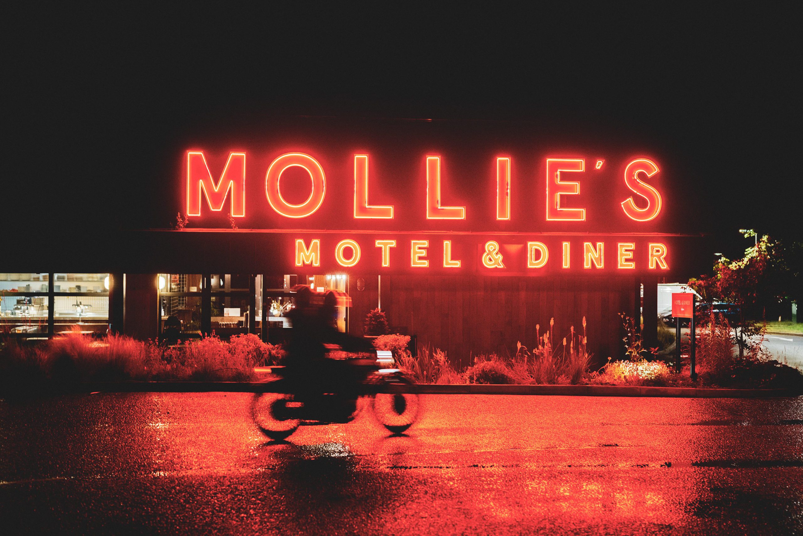 Mollie’s appoints new head of sales