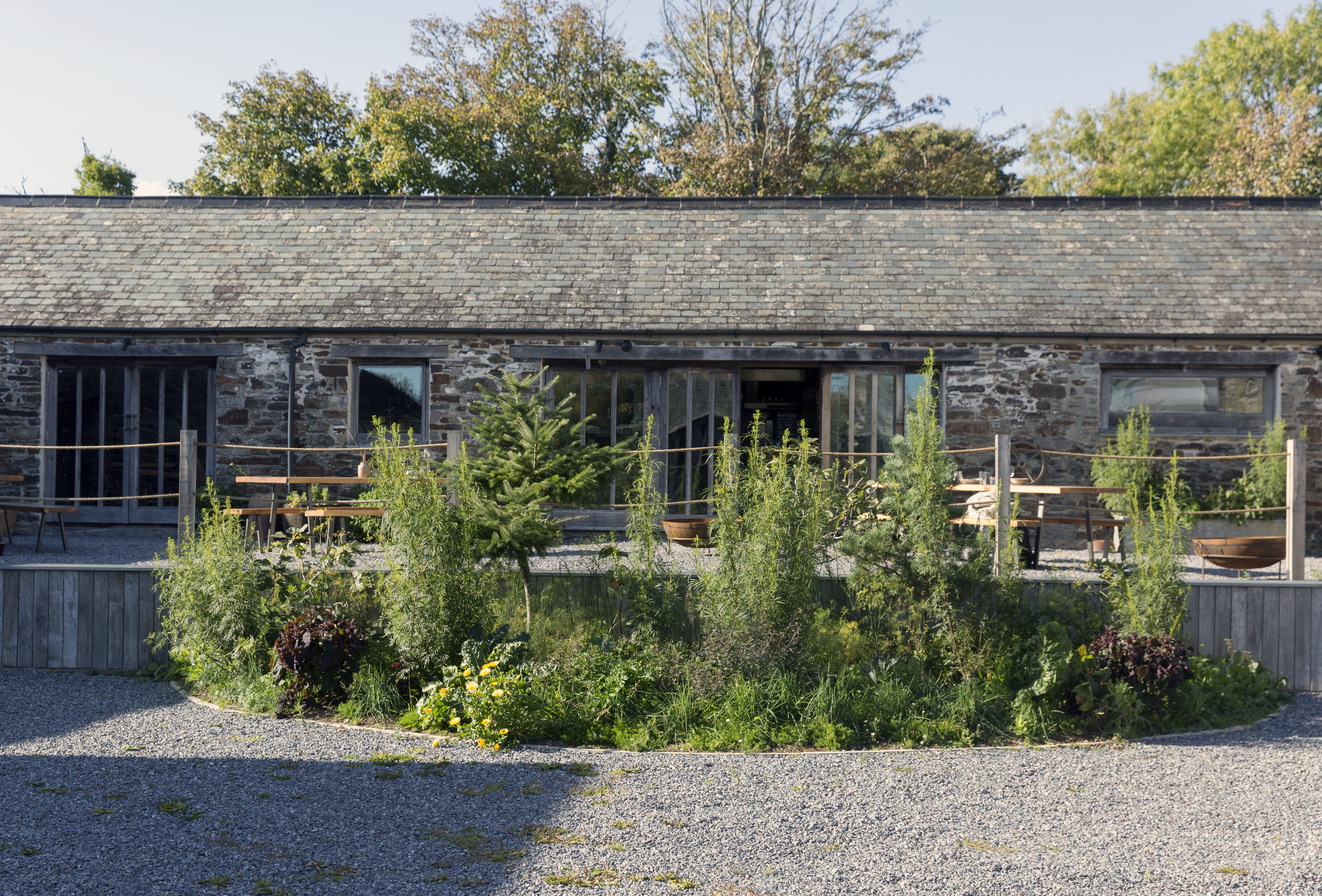 Chef Dan Cox to open first restaurant in Cornwall this February