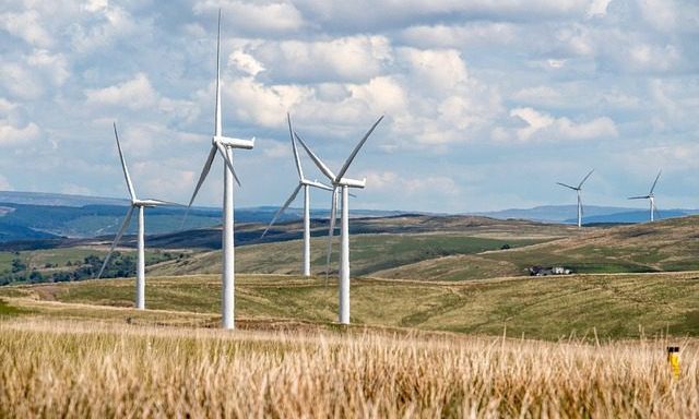 Data and sustainability: Take advantage of growing demand for sustainable eating