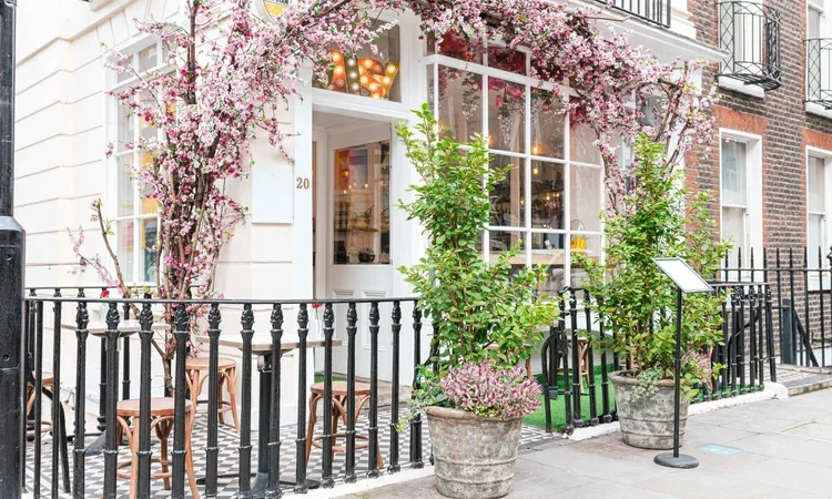 Daisy Green FY revenues rise 19% amid portfolio expansion